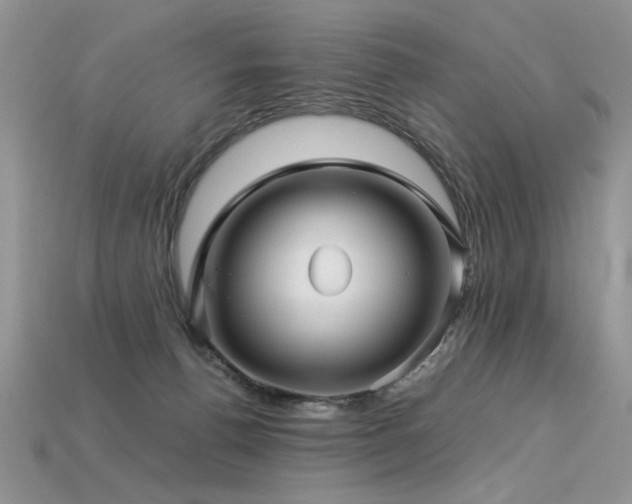 X0000113600176200909181359