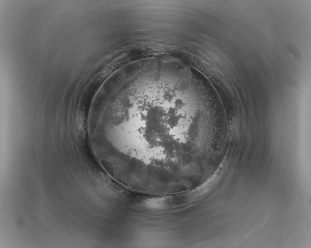 X0000113600178200909181359