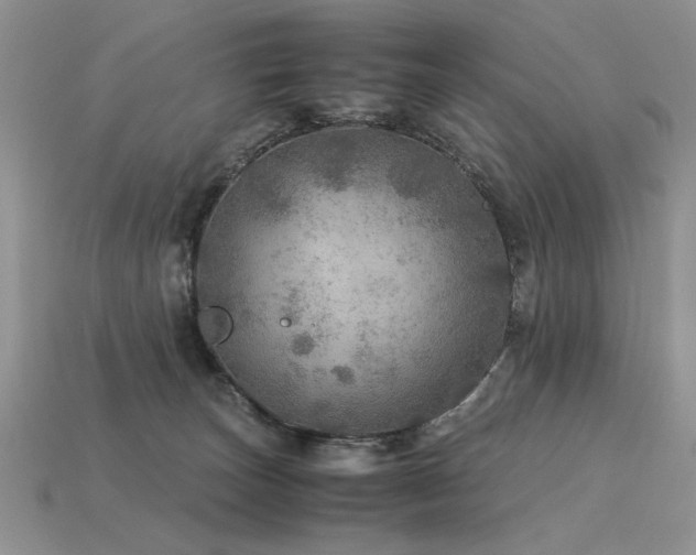 X0000113600179200909181359