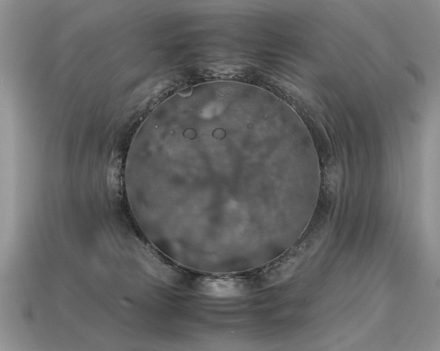 X0000113600181200909181359