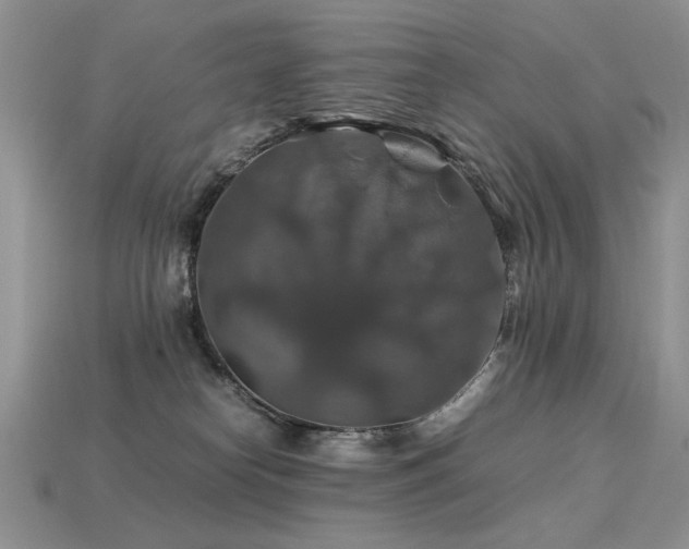 X0000113600182200909181359