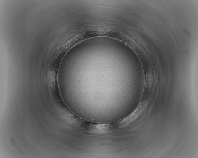 X0000113600184200909181359