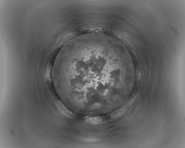 X0000113600185200909181359