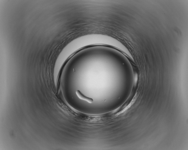 X0000113600186200909181359