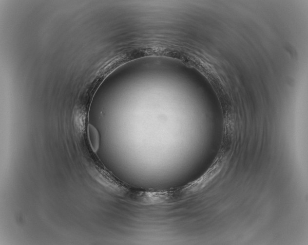 X0000113600188200909181359