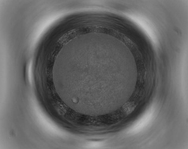 X0000113600189200909181359