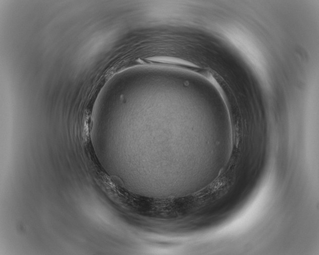 X0000113600190200909181359