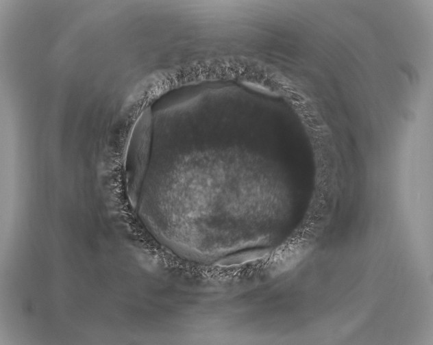 X0000113600192200909181359