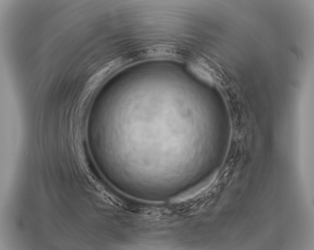 X0000113600193200909181359