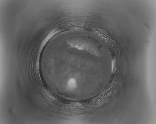 X0000113600195200909181359