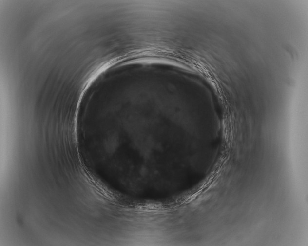 X0000113600196200909181359