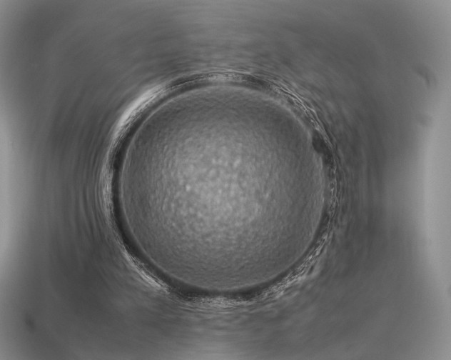 X0000113600197200909181359