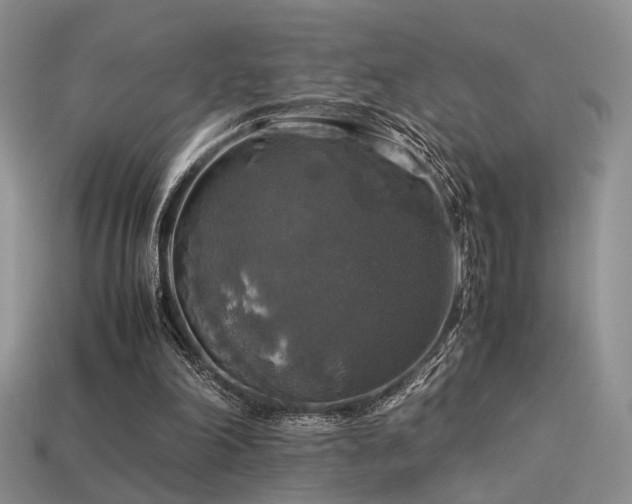 X0000113600198200909181359