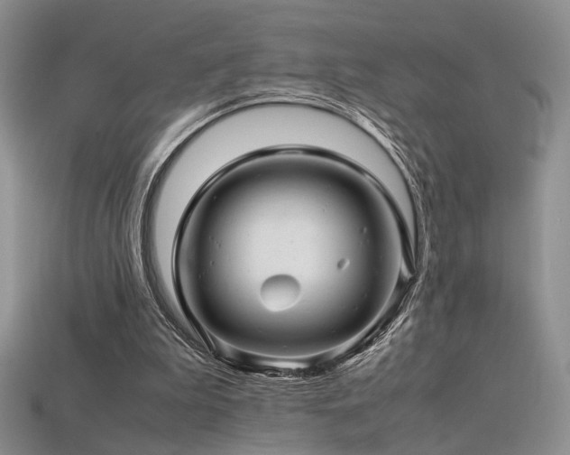 X0000113600199200909181359