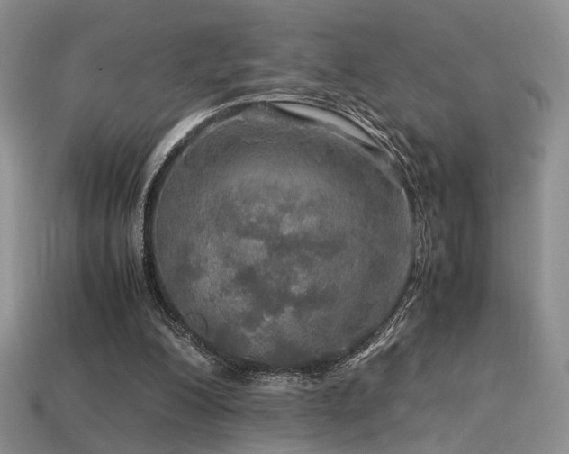 X0000113600200200909181359