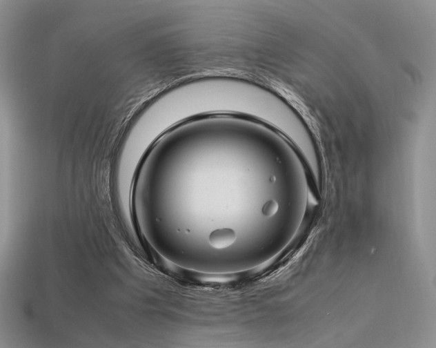 X0000113600201200909181359