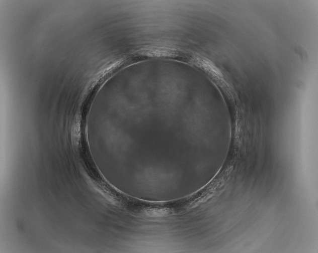 X0000113600202200909181359