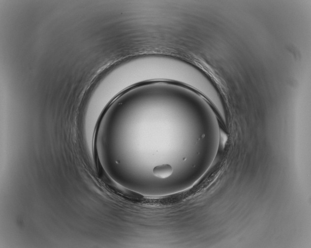 X0000113600203200909181359