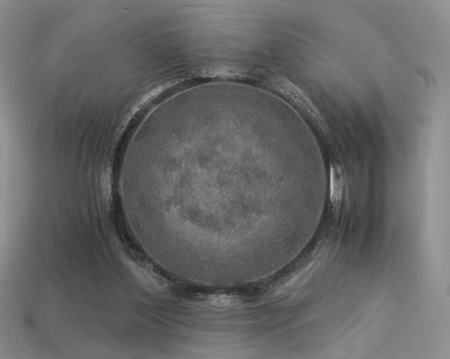 X0000113600204200909181358