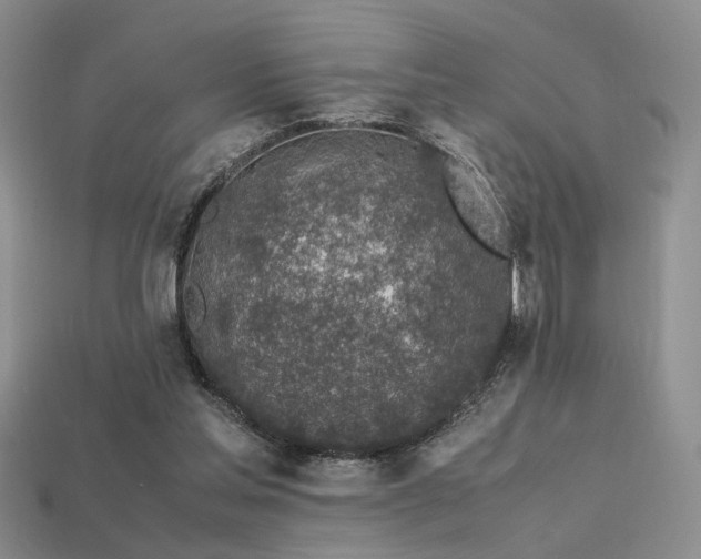 X0000113600205200909181358