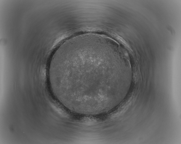 X0000113600207200909181358