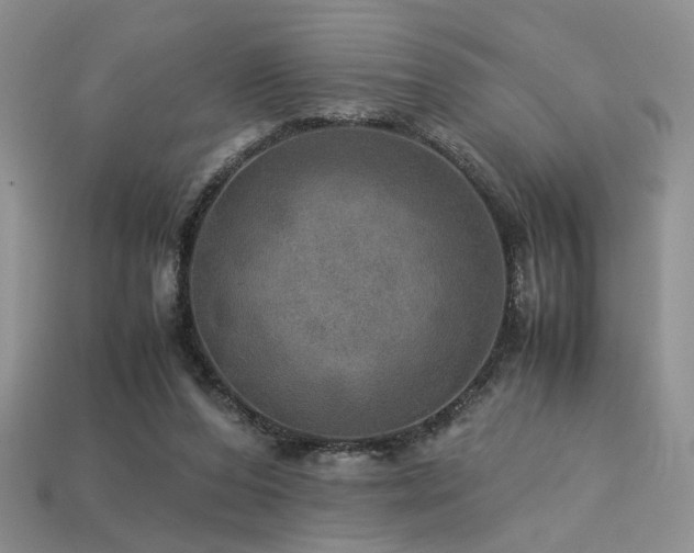 X0000113600208200909181358