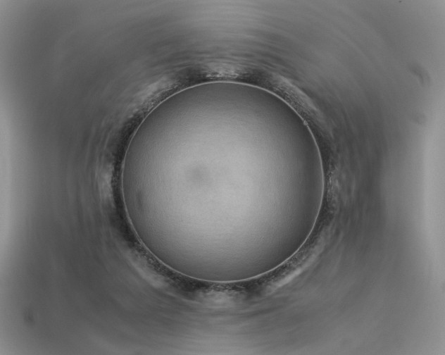 X0000113600209200909181358