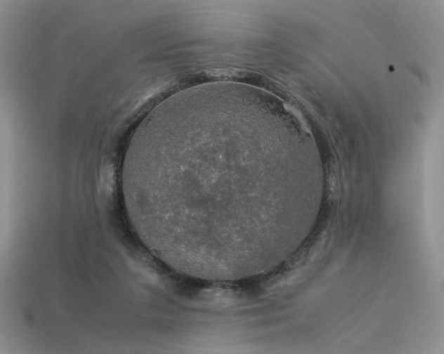 X0000113600211200909181358