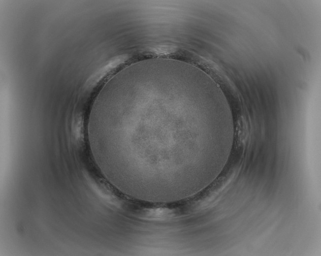 X0000113600212200909181358