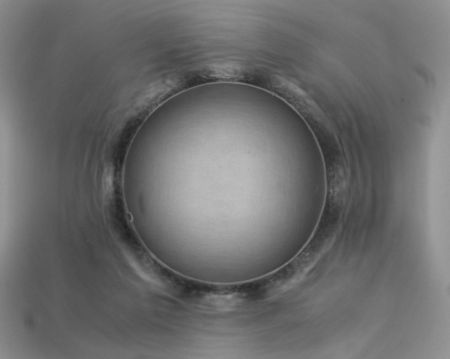 X0000113600213200909181358