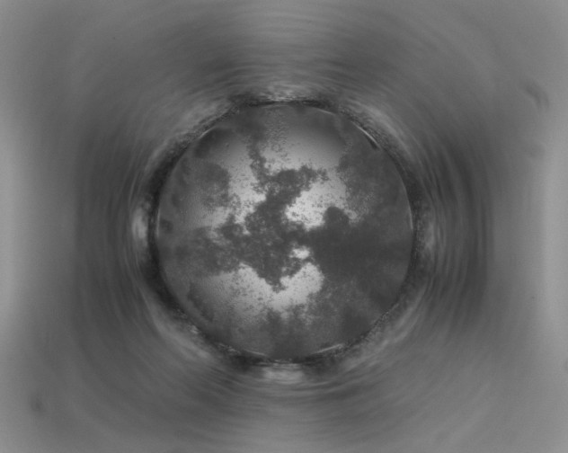 X0000113600214200909181358