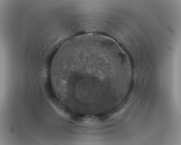 X0000113600215200909181358