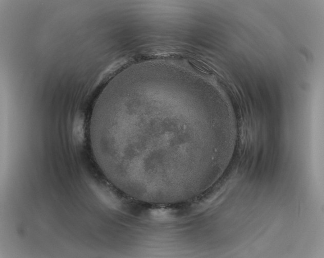 X0000113600216200909181358