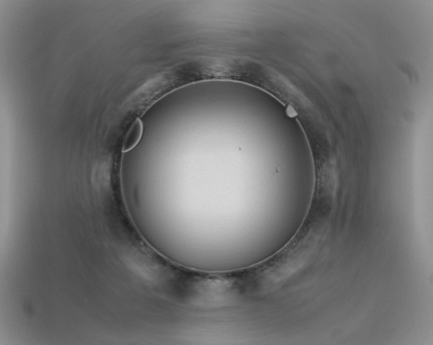 X0000113600217200909181358