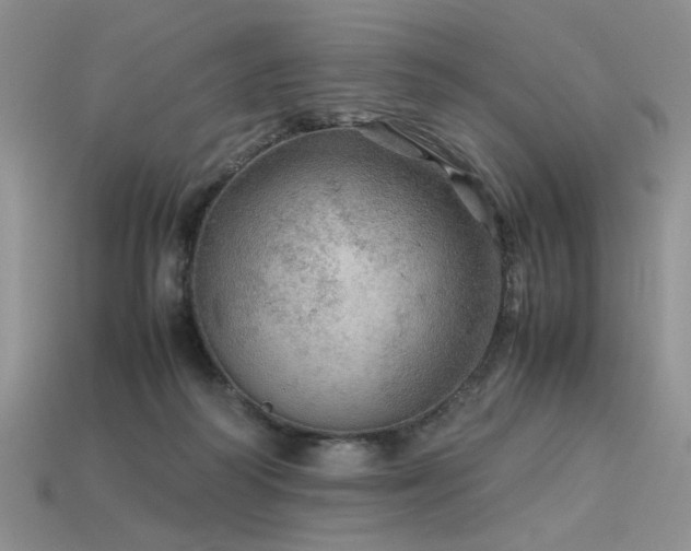 X0000113600218200909181358