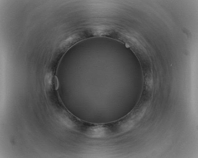 X0000113600219200909181358