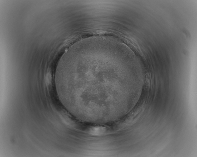 X0000113600220200909181358