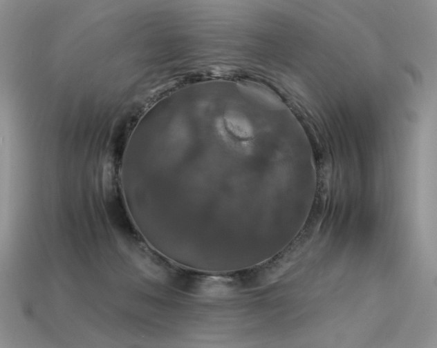 X0000113600222200909181358