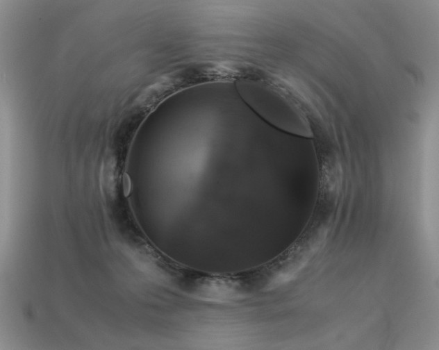 X0000113600223200909181358