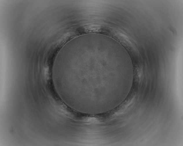 X0000113600224200909181358