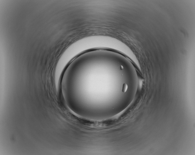 X0000113600225200909181358