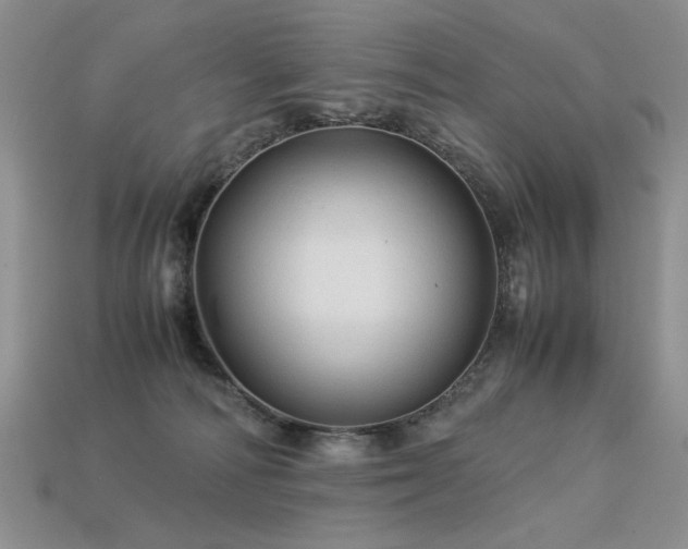 X0000113600226200909181358