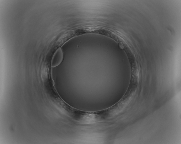 X0000113600227200909181358