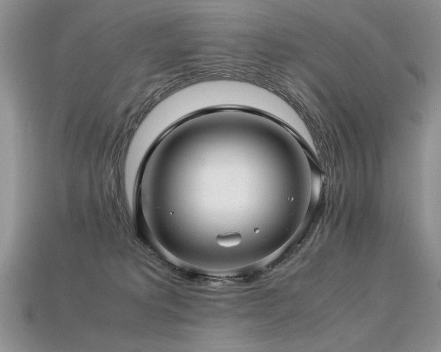 X0000113600229200909181358