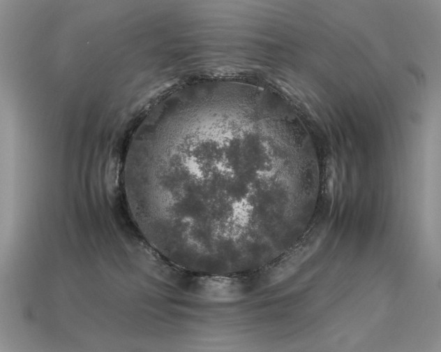 X0000113600230200909181358