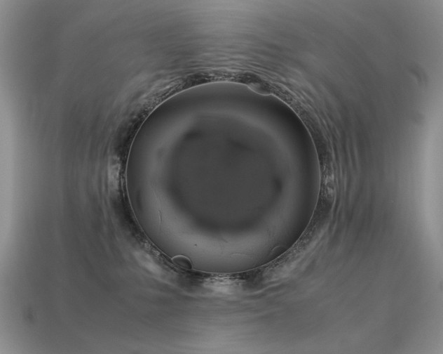 X0000113600231200909181358