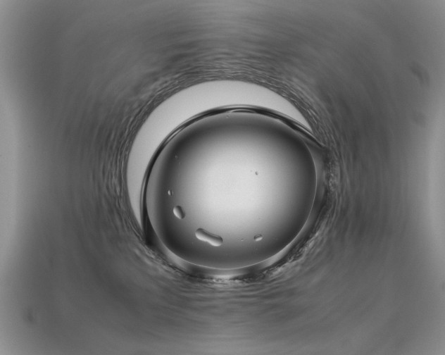 X0000113600233200909181358