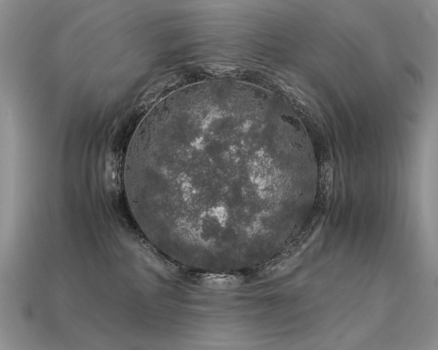 X0000113600234200909181358