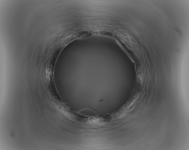 X0000113600235200909181358