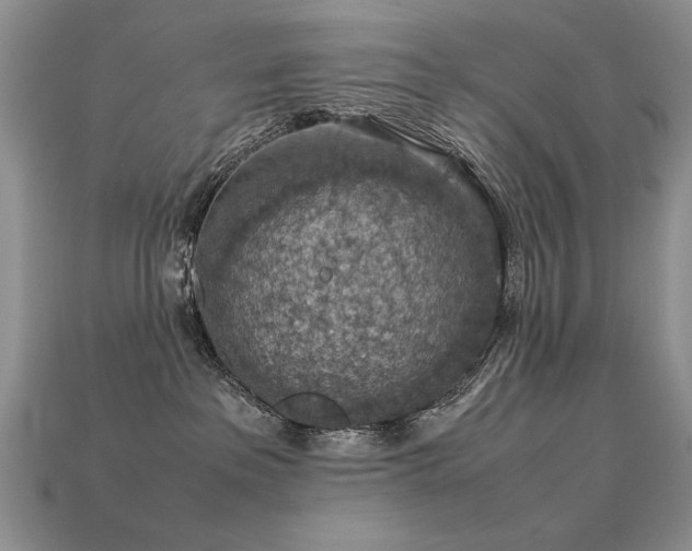 X0000113600237200909181358